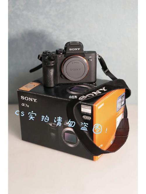 索尼V1数码相机（索尼相机α5000）