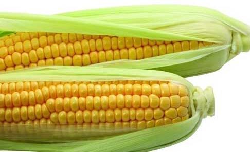 玉米为什么能防癌？玉米的五大营养价值（玉米有防癌功效吗）