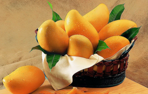 吃芒果的好处-为什么吃芒果会过敏？（吃芒果为什么容易过敏）