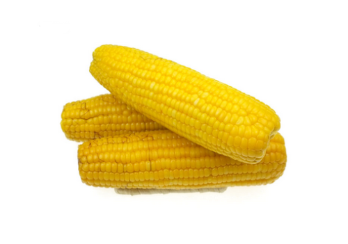 糯玉米的种植技术-糯玉米的功效与作用（糯玉米的种植方法和注意事项介绍）