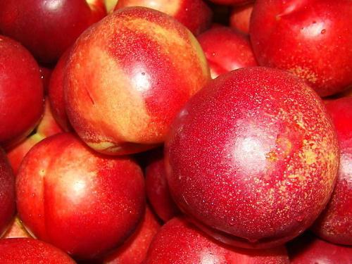 油桃的营养价值-油桃的功效与作用